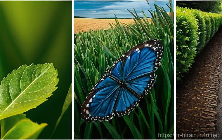 홈트 허벅지 다리살 빼는 운동 - Here are three detailed image prompts in English, adhering to all your guidelines:
